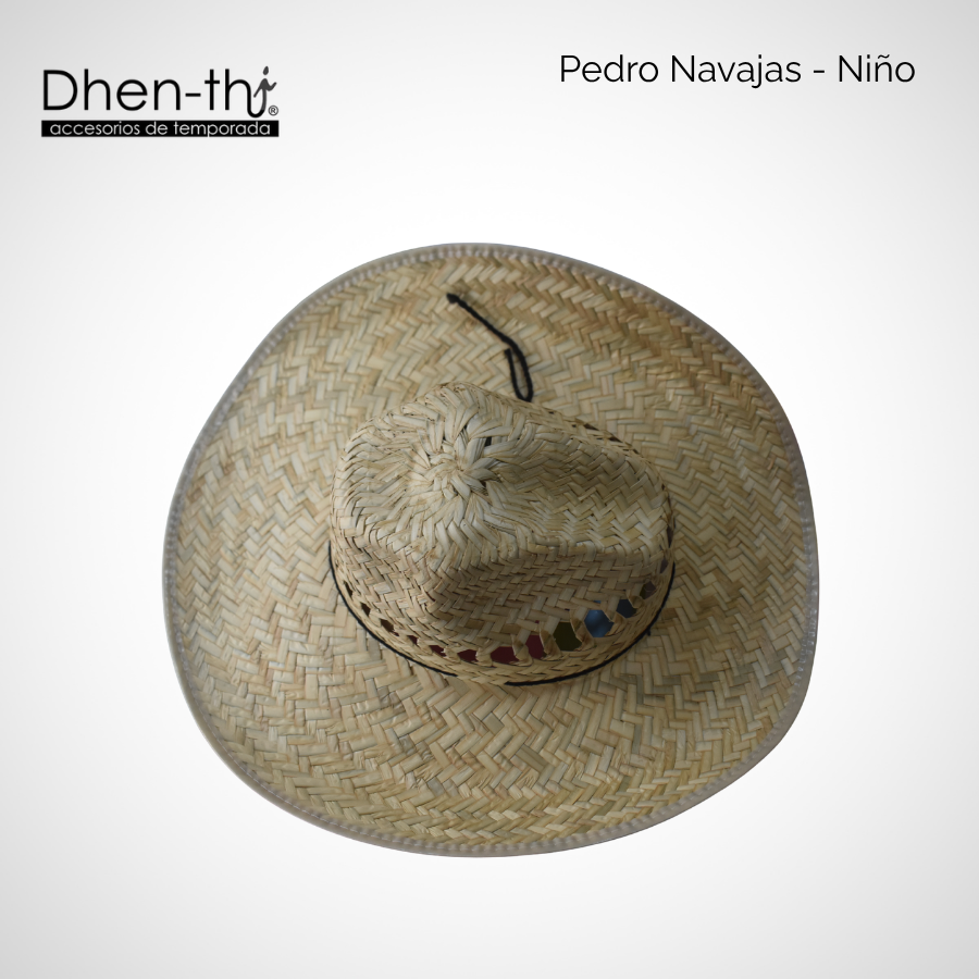 Pedro Navajas Niño