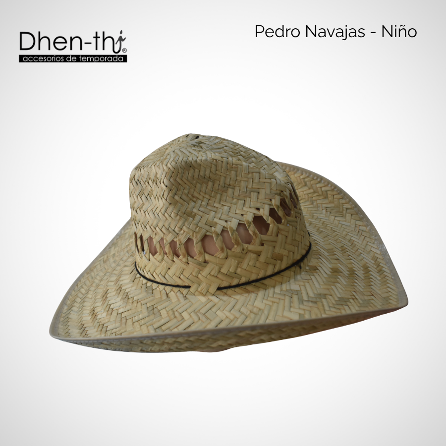 Pedro Navajas Niño