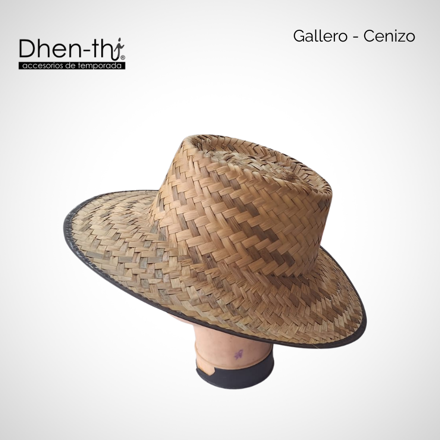 Gallero Cenizo